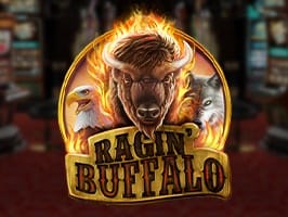 Ragin buffalo