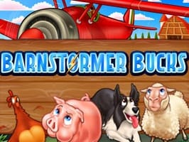 Barnstormer Bucks